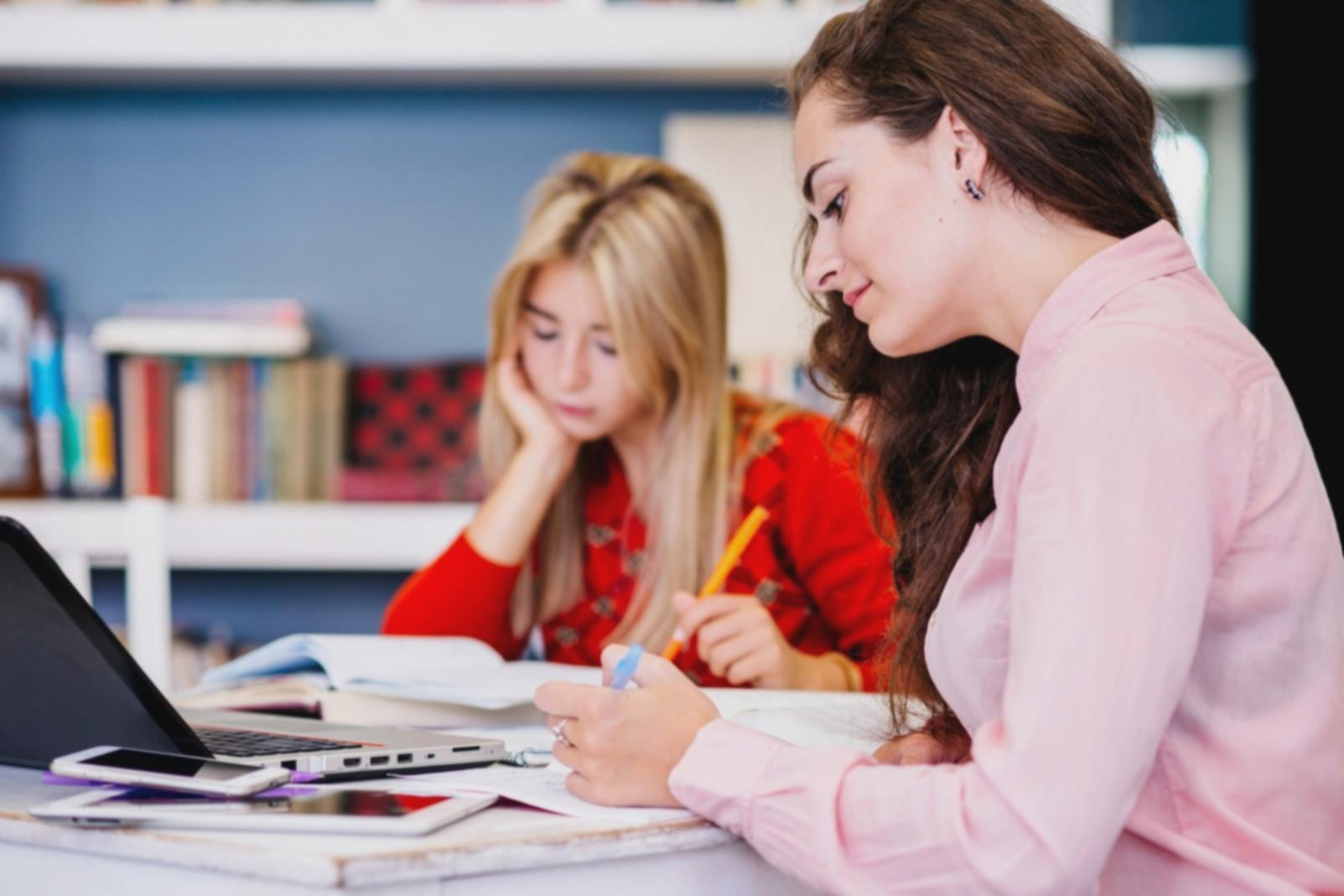 Participant reviewing financial progress charts